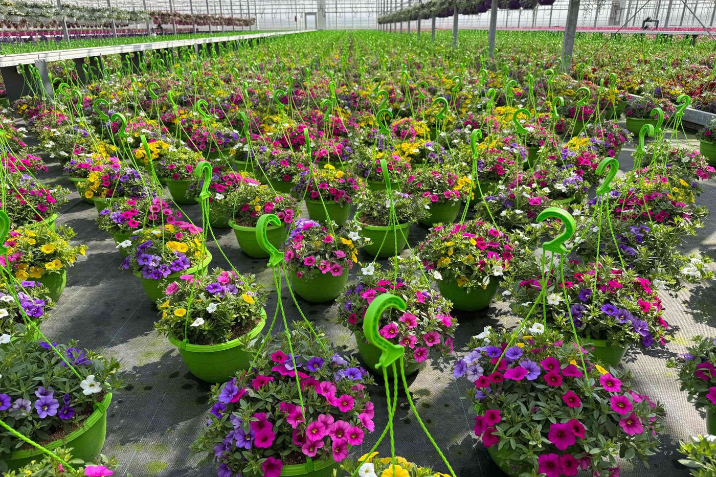 Blumenampeln in der Produktion